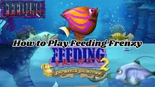 Tutorial Cara Bermain Game Feeding Frenzy 1 & 2 di PC