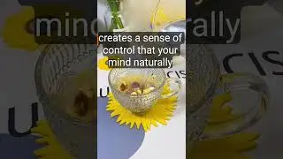 Take Control in the Kitchen: Why Cooking Empowers Your Mind #shorts