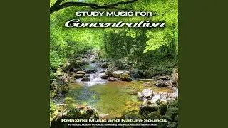 Background Focus Music
