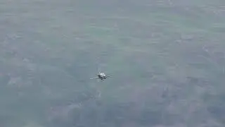 Lakes Low Level; T2 Hawk Pair @ Kirkstone Pass, 08/07/19
