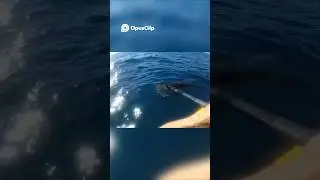 Good reason not to deep sea fish in a kayak #fishing #ocean #shorts @lboiv001