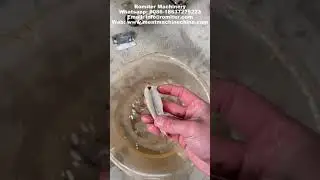 Automatic Shrimp Deveining Machine