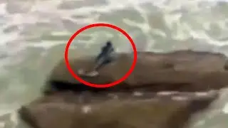 5 Mysterious Documented Mermaid Sightings