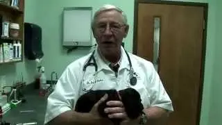 LaGrange Veterinary Hospital 