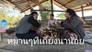 ติดตั้งเอ้านกลงกินน้ำกับสาวสอน(พรานต้นเอ้าชีนหมูป่ามาฝาก