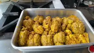 Amritsar Famous Malai Keema Brain Curry |Amritsar Street Food