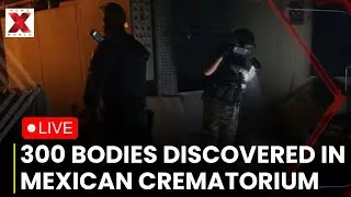 LIVE | Police Discover Mass Body Dump in Mexico | Crime Investigation | NewsX World LIVE