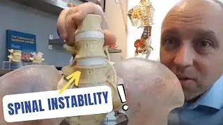 What Is Spinal Instability? - Explaining with Human Anatomical Lumbopelvic Model