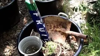 2016 Garden Update #2