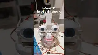InMoov i2 Animatronic Head.