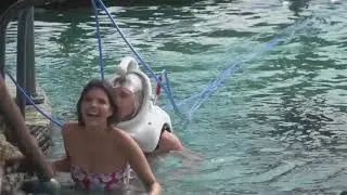 SeaTREK helmet diving underwater adventure! Meet incredible sea life, no swimming skills needed!