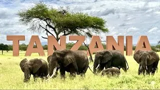 Tanzania 2024