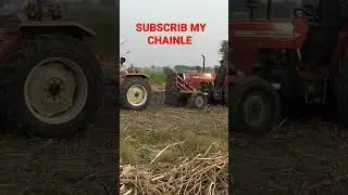 MF 385 tractor with heavy loaded sugarcane trolley|TAHIRvlog|#short #youtubeshorts #TAHIRvlog #power