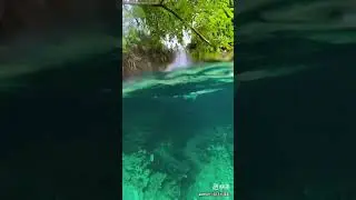 UNDER WATER VIDEOGRAPHY WITH IPHONE #underwater #nature #videography #iphone #naturephotography #