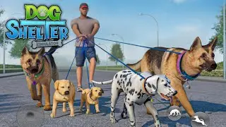 Dog Walking - Pet Sitting Game - Gameplay Walkthrough part 1 (Android iOS)