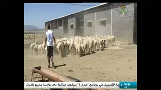أم البواقي - مشاريع حيوية ..إنعاش للتنمية في القرى النائية