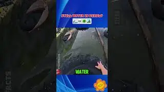 Why You Should NEVER Enter Still Water &ndash; Hidden Dangers Revealed