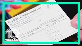 'Incredible spike' in fake vaccination card traffic raises concerns
