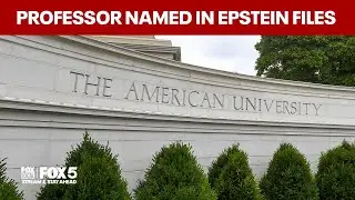American University professor named in Epstein files