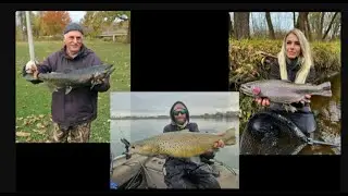 Salmon goes to spawn from Lake Michigan USA.  Лосось отправляется на нерест из Озера Мичиган США.