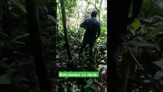 explorando la selva #rutasenmoto #bolivia #motovlog #moto #beni #viajes #trinidad