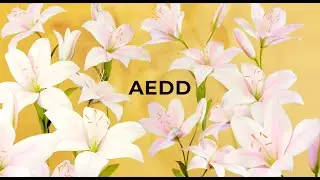 AEDD showreel