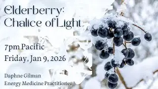 Elderberry: Chalice of Light - Plant Lore & Channeled Messages