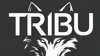 LUZ - TRIBU. Un poco de Rock, un poco de Rap. Grabaci&oacute;n en vivo.