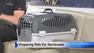 Preparing pets for hurricanes