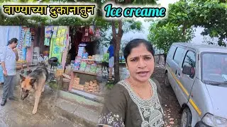 दिवसभराच्या घडामोडी 😍 | tigercha divasbharachya ghadamodi || #tiger