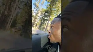 How Hood 🥷🏿&rsquo;s First Time In Em Woods Be like, 😂😂￼ #banff #woods #frontpage #fyp #views #viral