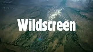 Welcome to Wildscreen Festival