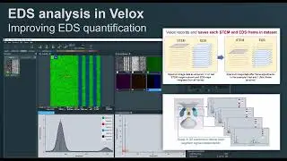 Advanced EDS Data Processing in Velox: Ensuring Accurate Quantification