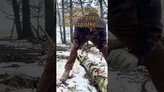 Wariacja ogniska szwedzkiego… nawet się udało. Następne będzie większe.