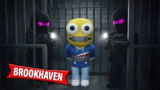 JE SUIS PORT&Eacute; DISPARU A BROOKHAVEN 🏡 RP PENDANT 24H ! Roblox Brookhaven RP