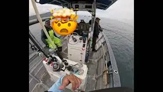 Fishing Ensenada B.C Punta Banda Lingcod Day @SALTYFANATICS562