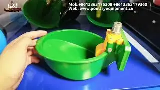 Sheep drinking bowl goat automatic drinking water system sheep water trough sheep farm equipment