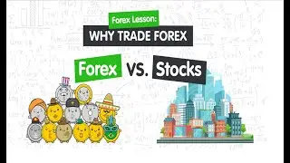 Forex Market vs Stock Market(Nepse) in Nepali || Trading in Nepal