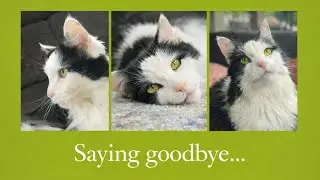 Saying goodbye is so hard