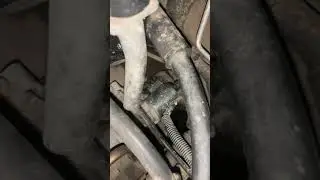 Эксперты, почему не запускается двигатель Subaru Forester 2009 год