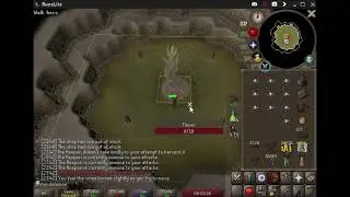 Hespori on a pure (UIM) 1 Def 1 Prayer UIM Hespori kills