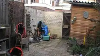 supervlinder