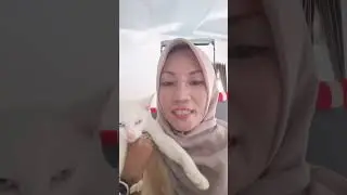 jumpe besti online