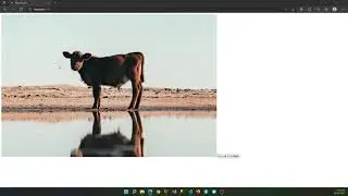 Angular Carousel Attempt