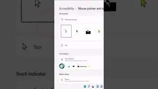 Change Mouse Scroll Setting on Windows 11 ( Quick Step )