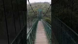 River Tern Lodge Hanging bridge | Rainy day in River tern lodge by Jungle lodges & resorts Karnataka