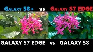 SAMSUNG GALAXY S8 vs GALAXY S7 EDGE REVIEW