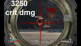 Borderlands critical damage bug