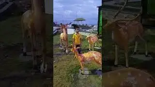 digha sankarpur sea beach 🏖 #subscribe #travel #short #digha