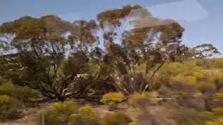 On the bus travelling towards Ouyen in outback Victoria, Australia.